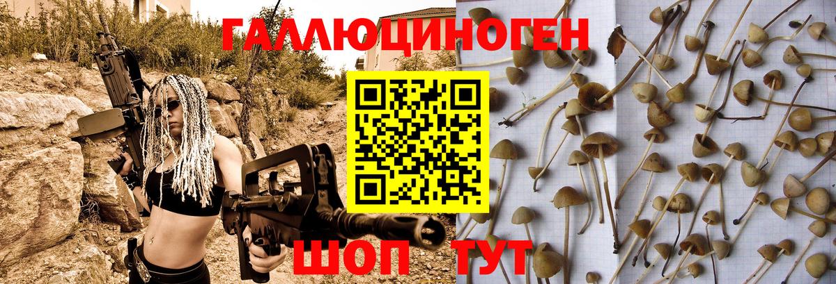 Галлюциногенные грибы MAGIC MUSHROOMS  Вход с VPN  Псилоцибиновые грибы мицелий  Дзержинский 