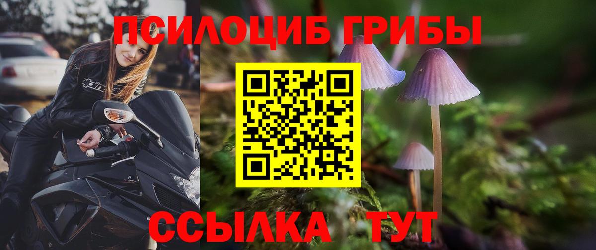 Галлюциногенные грибы MAGIC MUSHROOMS Дзержинский